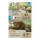 Forest Shuffle: Dartmoor Board Games The Compleat Strategist