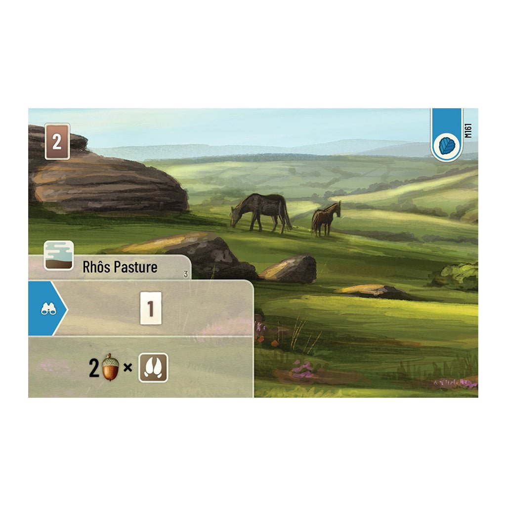 Forest Shuffle: Dartmoor Board Games The Compleat Strategist