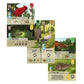 Forest Shuffle: Exploration Card Games The Compleat Strategist