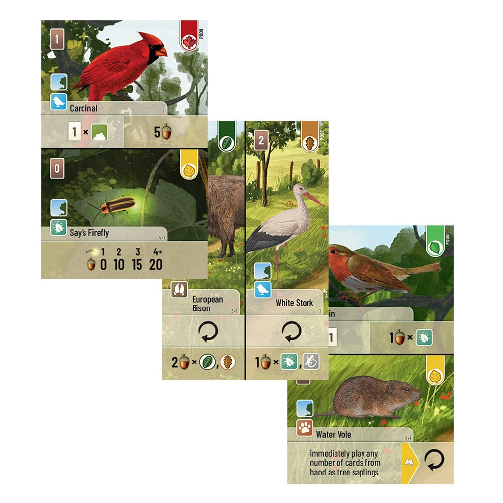 Forest Shuffle: Exploration Card Games The Compleat Strategist