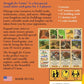 Struggle for Catan - The Compleat Strategist